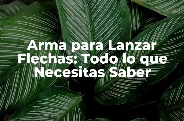 Arma para Lanzar Flechas: Todo Lo que Necesitas Saber