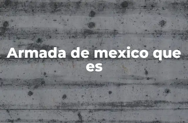 Armada de Mexico que es