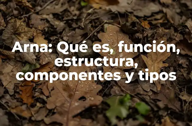 Arna: Qué Es, Función, Estructura, Componentes y Tipos