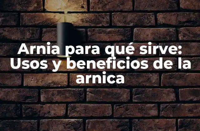 Arnia para Qué Sirve: Usos y Beneficios de la Arnica