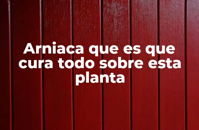 Arniaca que es que Cura Todo sobre Esta Planta 2 Propiedades medicinales de la arnica sin mencionar directamente su nombre