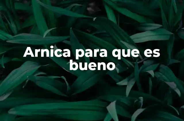 Arnica para que es Bueno 2 La arnica como aliada en la salud física