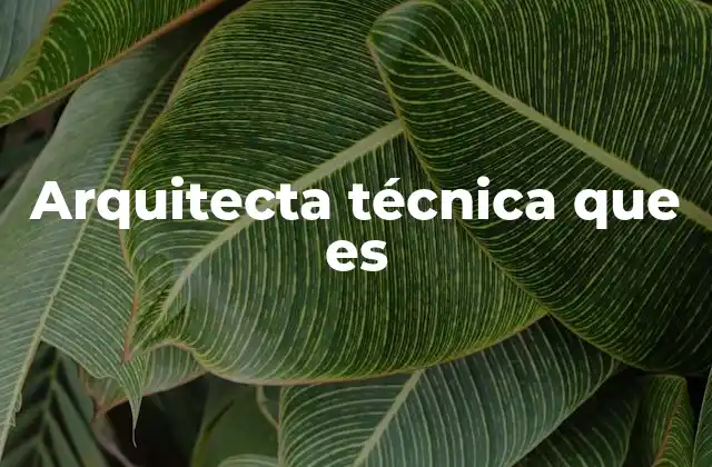Arquitecta Técnica que es
