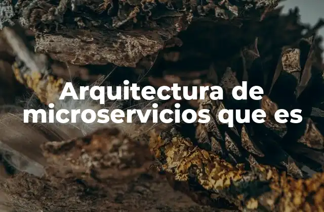 Arquitectura de Microservicios que es