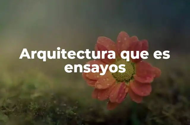 Arquitectura que es Ensayos