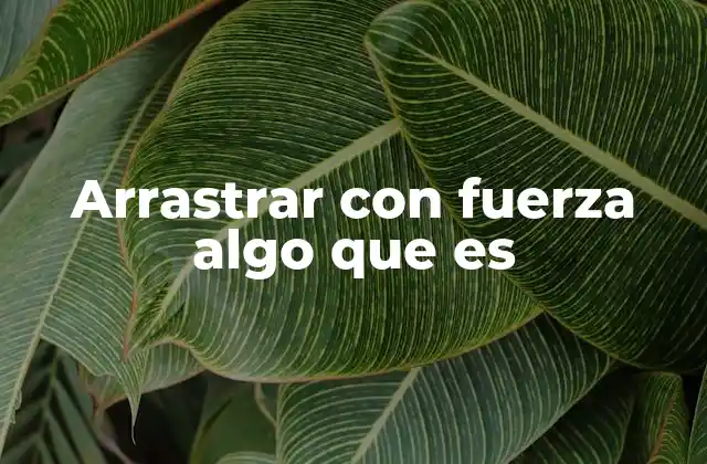 Arrastrar con Fuerza Algo que es 2 La resistencia como parte del proceso de arrastre