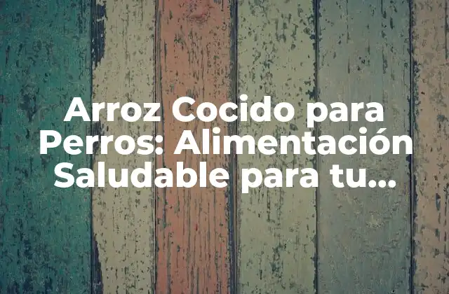 Arroz Cocido para Perros: Alimentación Saludable para Tu Mascota 2 ¿Por qué el Arroz Cocido es Bueno para los Perros?