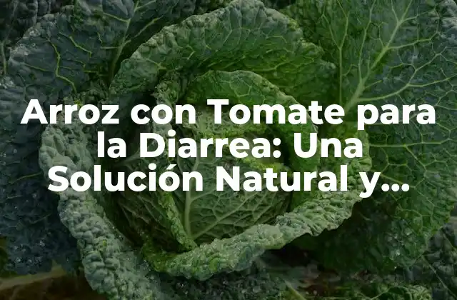 Arroz con Tomate para la Diarrea: una Solución Natural y Efectiva