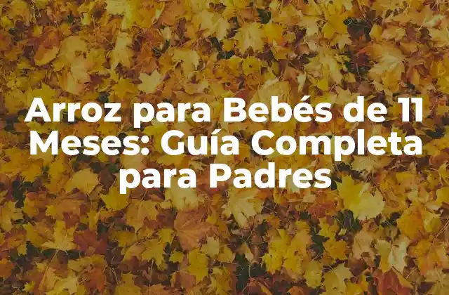 Arroz para Bebés de 11 Meses: Guía Completa para Padres