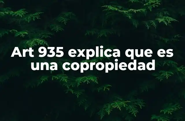 Art 935 Explica que es una Copropiedad