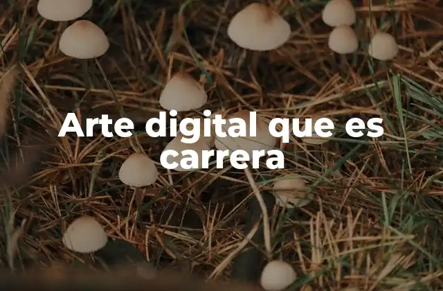 Arte Digital que es Carrera