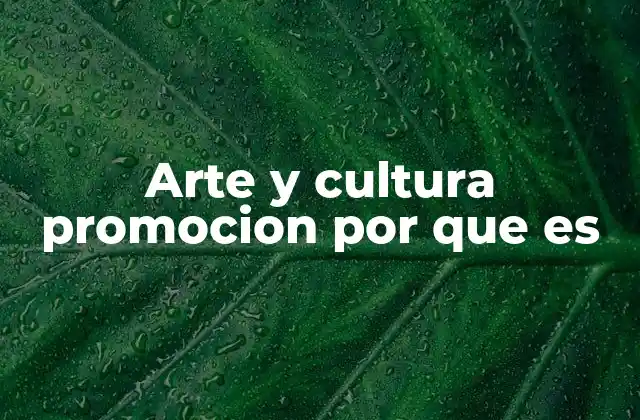 Arte y Cultura Promocion por que es