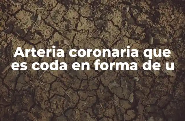 Arteria Coronaria que es Coda en Forma de u