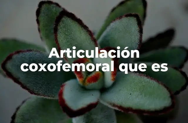 Articulación Coxofemoral que es