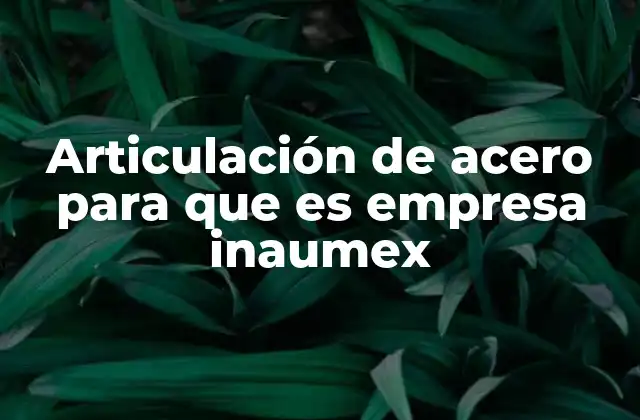 Articulación de Acero para que es Empresa Inaumex