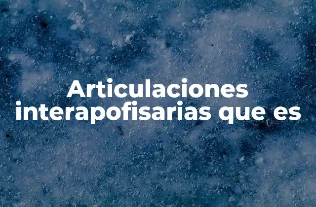 Articulaciones Interapofisarias que es