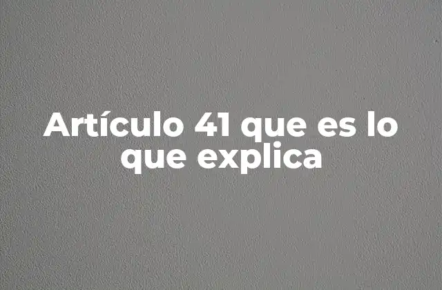 Artículo 41 que es Lo que Explica