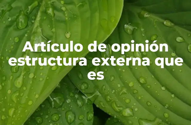 Artículo de Opinión Estructura Externa que es