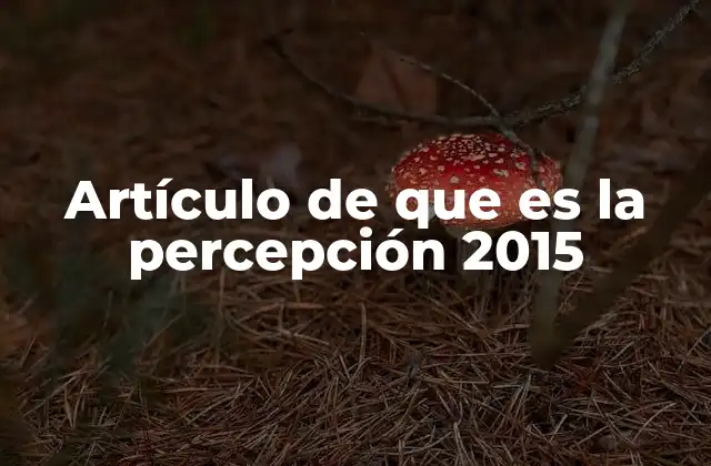 Artículo de que es la Percepción 2015