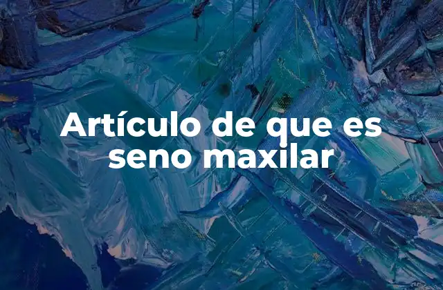 Estructura anatómica y ubicación del seno maxilar