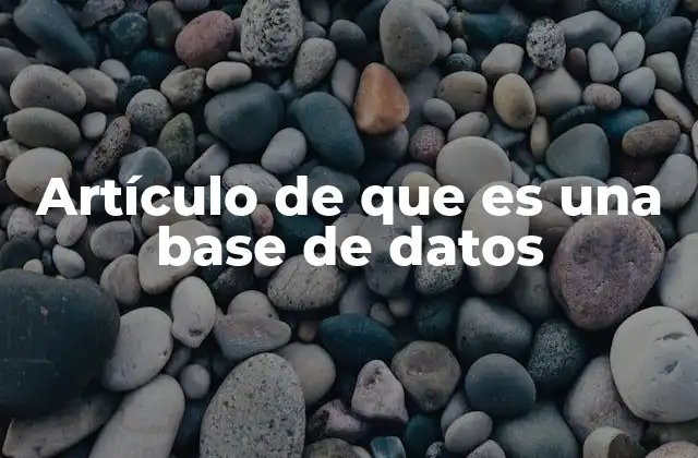Artículo de que es una Base de Datos