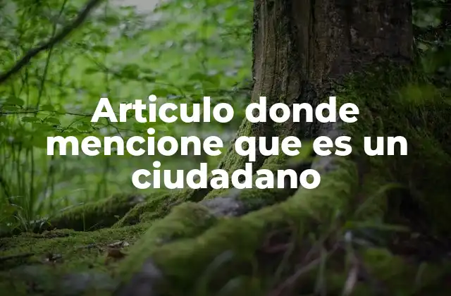 Articulo Donde Mencione que es un Ciudadano 2 La importancia de la identidad cívica en la sociedad moderna