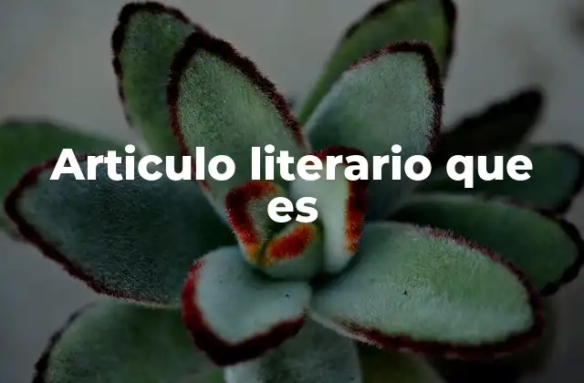 El papel de los artículos en la construcción de textos literarios
