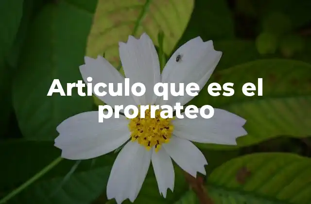 Articulo que es el Prorrateo