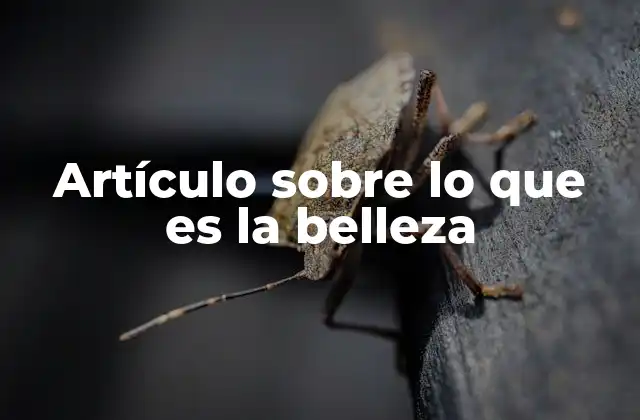 Artículo sobre Lo que es la Belleza