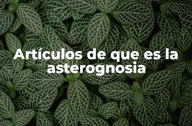 Artículos de que es la Asterognosia