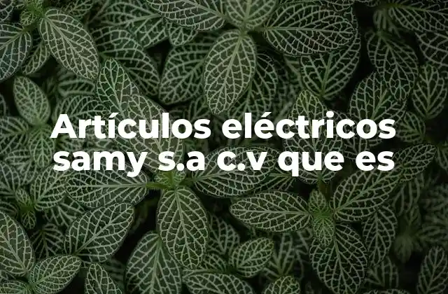 El rol de las distribuidoras eléctricas en el desarrollo de la infraestructura