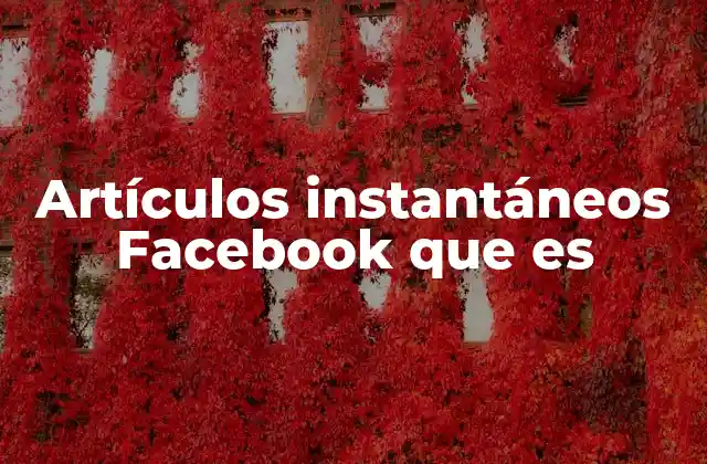 Artículos Instantáneos Facebook que es