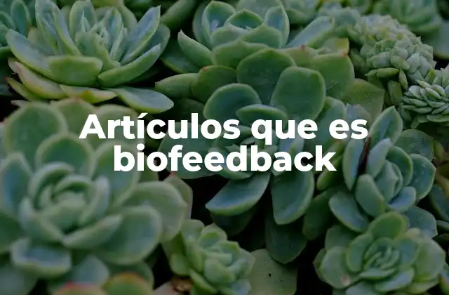 El biofeedback como herramienta de autoconocimiento y bienestar