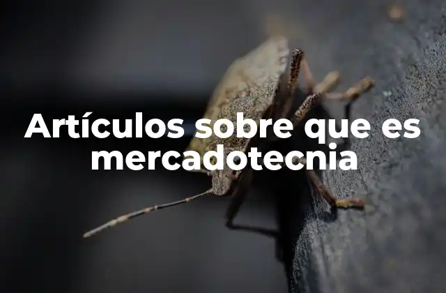 Artículos sobre que es Mercadotecnia