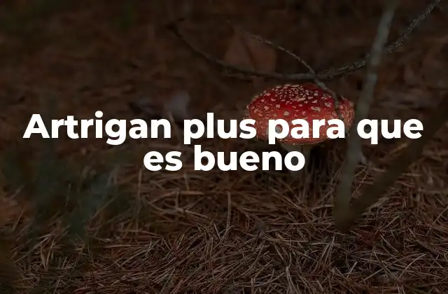 Artrigan Plus para que es Bueno