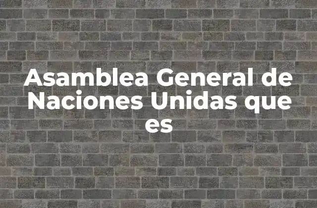 Asamblea General de Naciones Unidas que es
