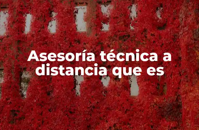 Asesoría Técnica a Distancia que es
