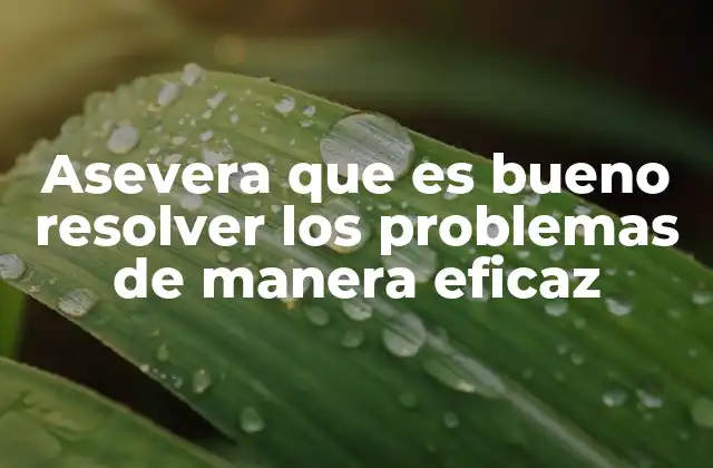 Asevera que es Bueno Resolver los Problemas de Manera Eficaz 2 La importancia de abordar los desafíos con una actitud proactiva