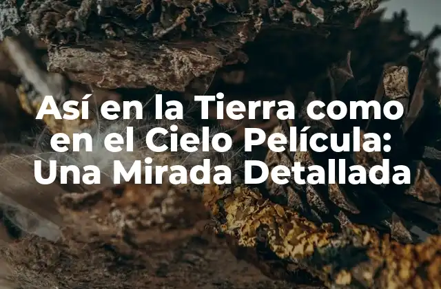 Así en la Tierra como en el Cielo Película: una Mirada Detallada