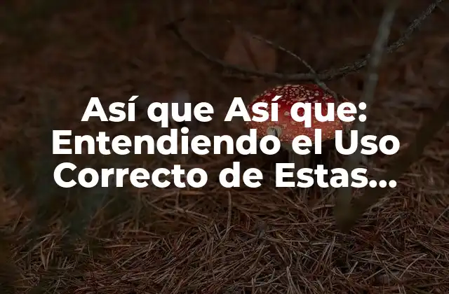 Así que Así Que: Entendiendo el Uso Correcto de Estas Palabras en Español