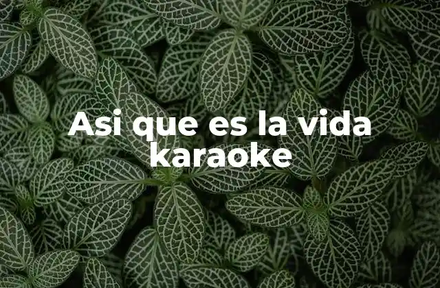 Asi que es la Vida Karaoke 2 La vida como una canción a cargo de cada persona