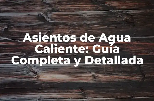 Asientos de Agua Caliente: Guía Completa y Detallada