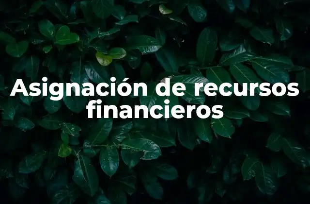 Asignación de Recursos Financieros