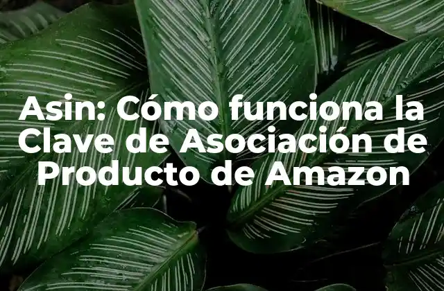 Asin: Cómo Funciona la Clave de Asociación de Producto de Amazon