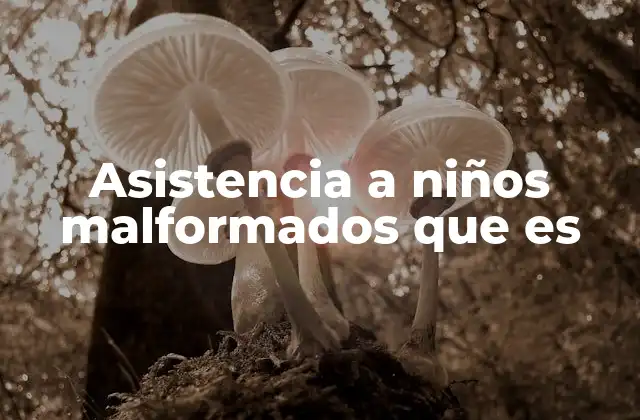 Asistencia a Niños Malformados que es