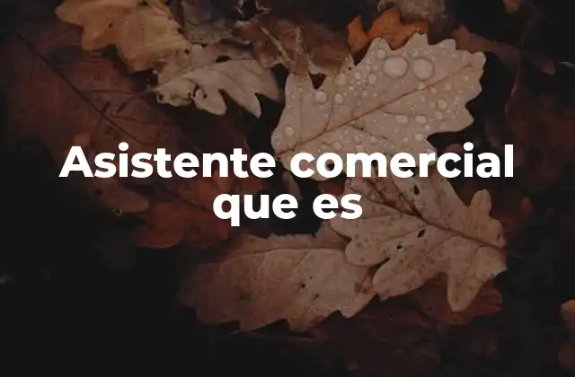 Asistente Comercial que es