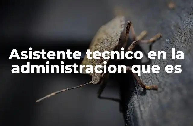 Asistente Tecnico en la Administracion que es
