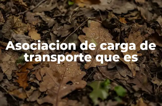 Asociacion de Carga de Transporte que es