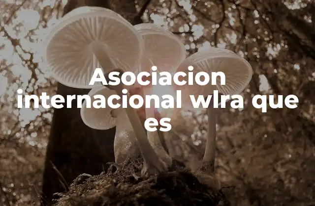 Asociacion Internacional Wlra que es 2 El rol de las asociaciones internacionales en el mundo moderno