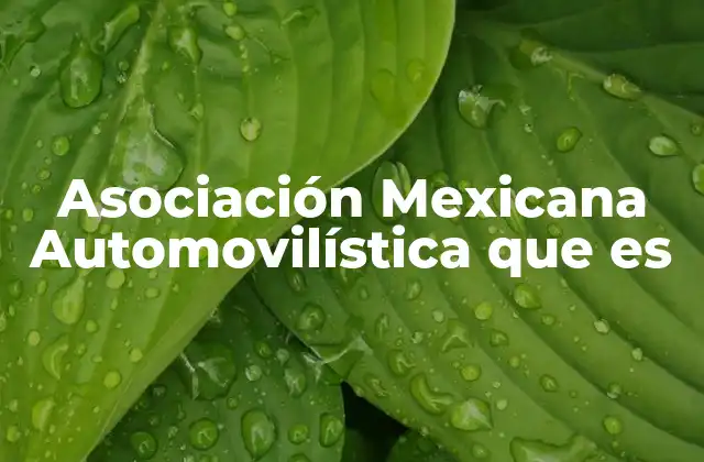 Asociación Mexicana Automovilística que es